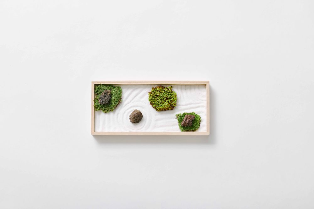 Objets de décoration - karesansui-kit de jardin grand - FUJIGOKE
