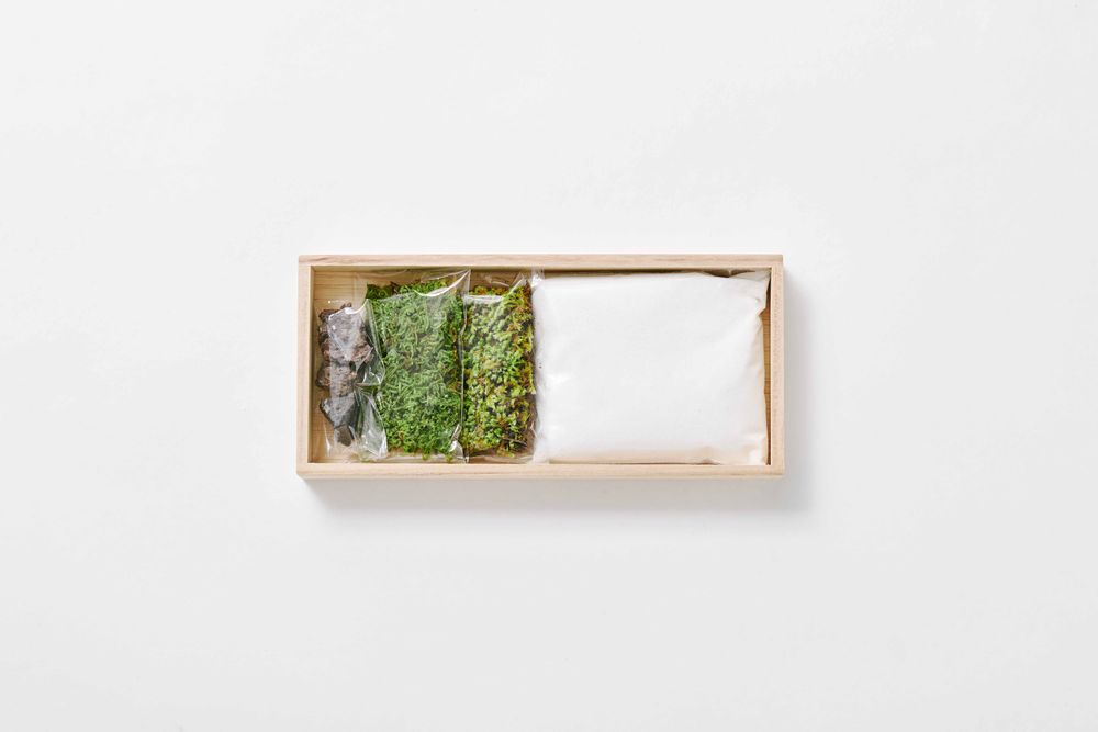 Objets de décoration - karesansui-kit de jardin grand - FUJIGOKE