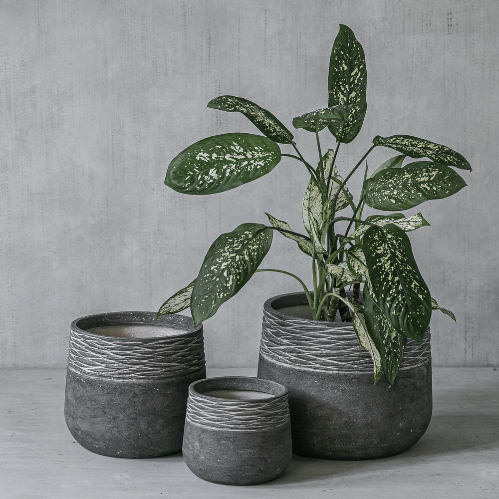 Flower pots - Levy Pots - NATURE'S LEGACY