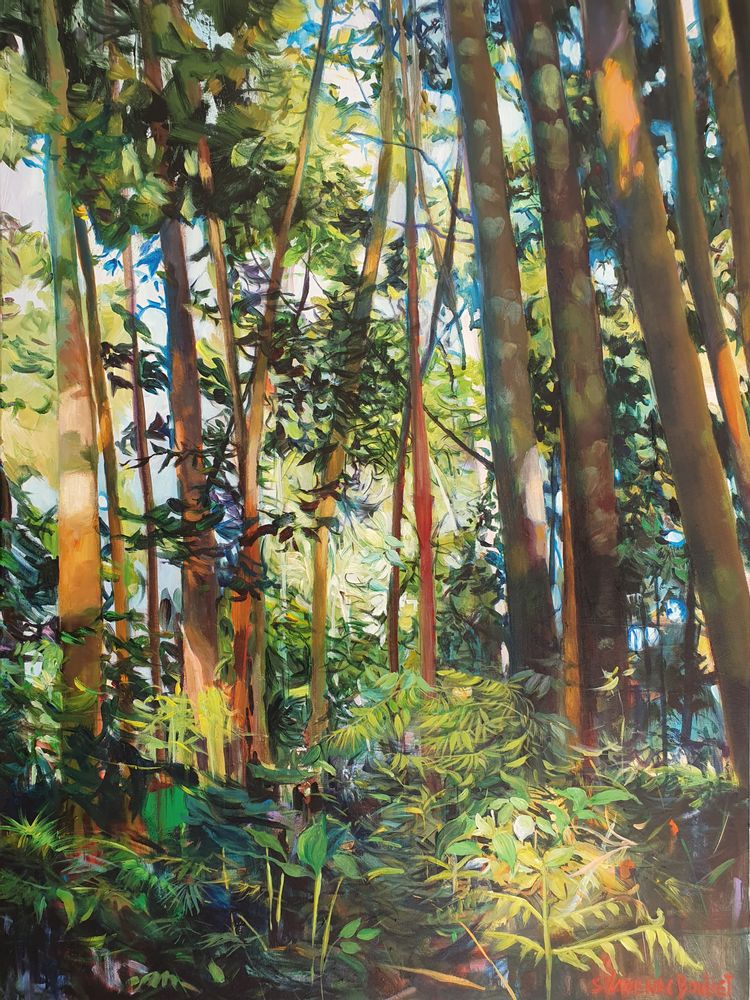 Tableaux - Jeux de lumières - ARTBOULIET