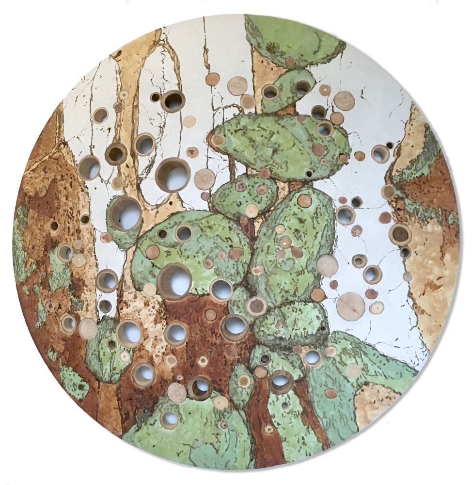 Other wall decoration - WALL DECORATION AMAZONIA - VERO REATO
