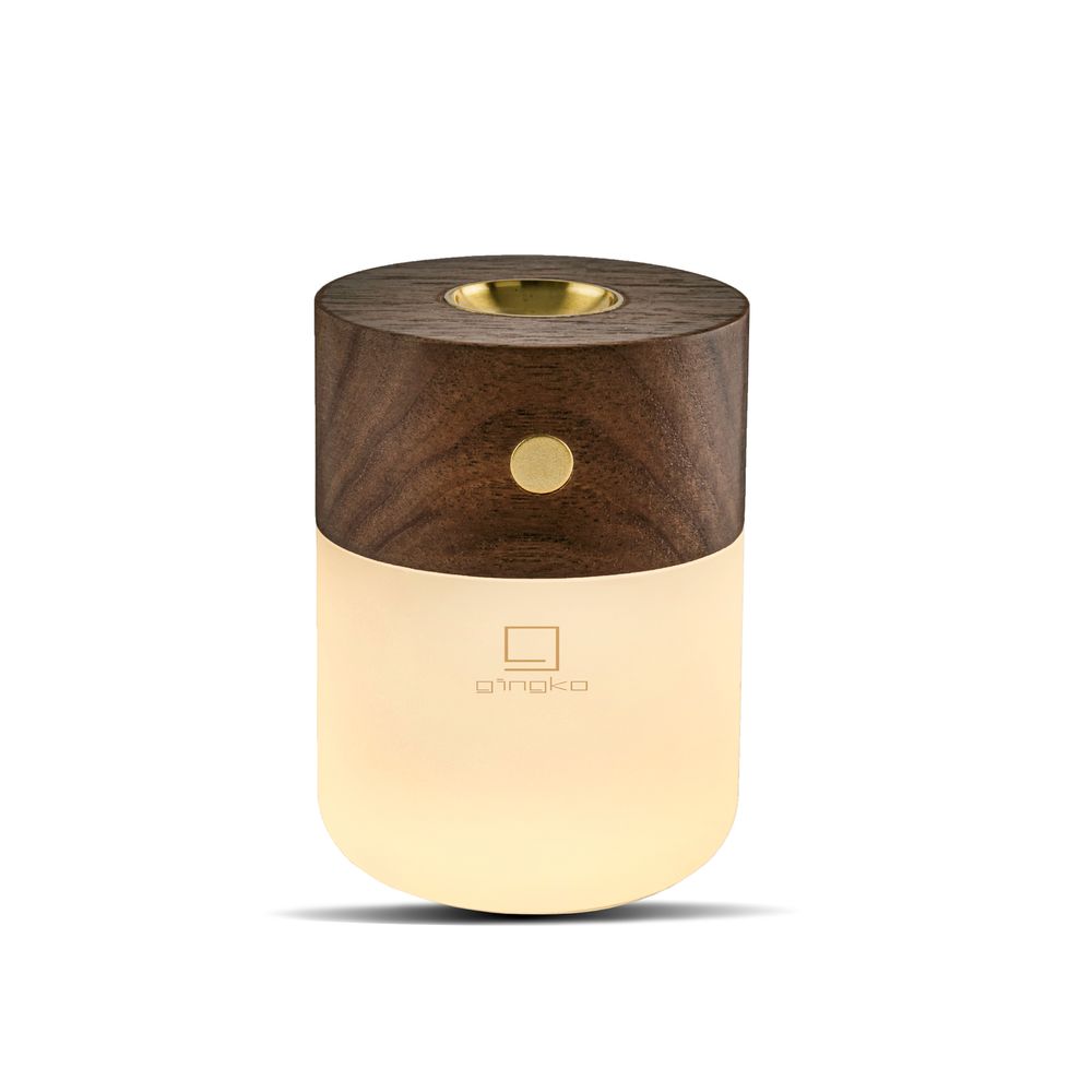 Autres objets connectés  - Lampe Diffuseur Smart. - GINGKO