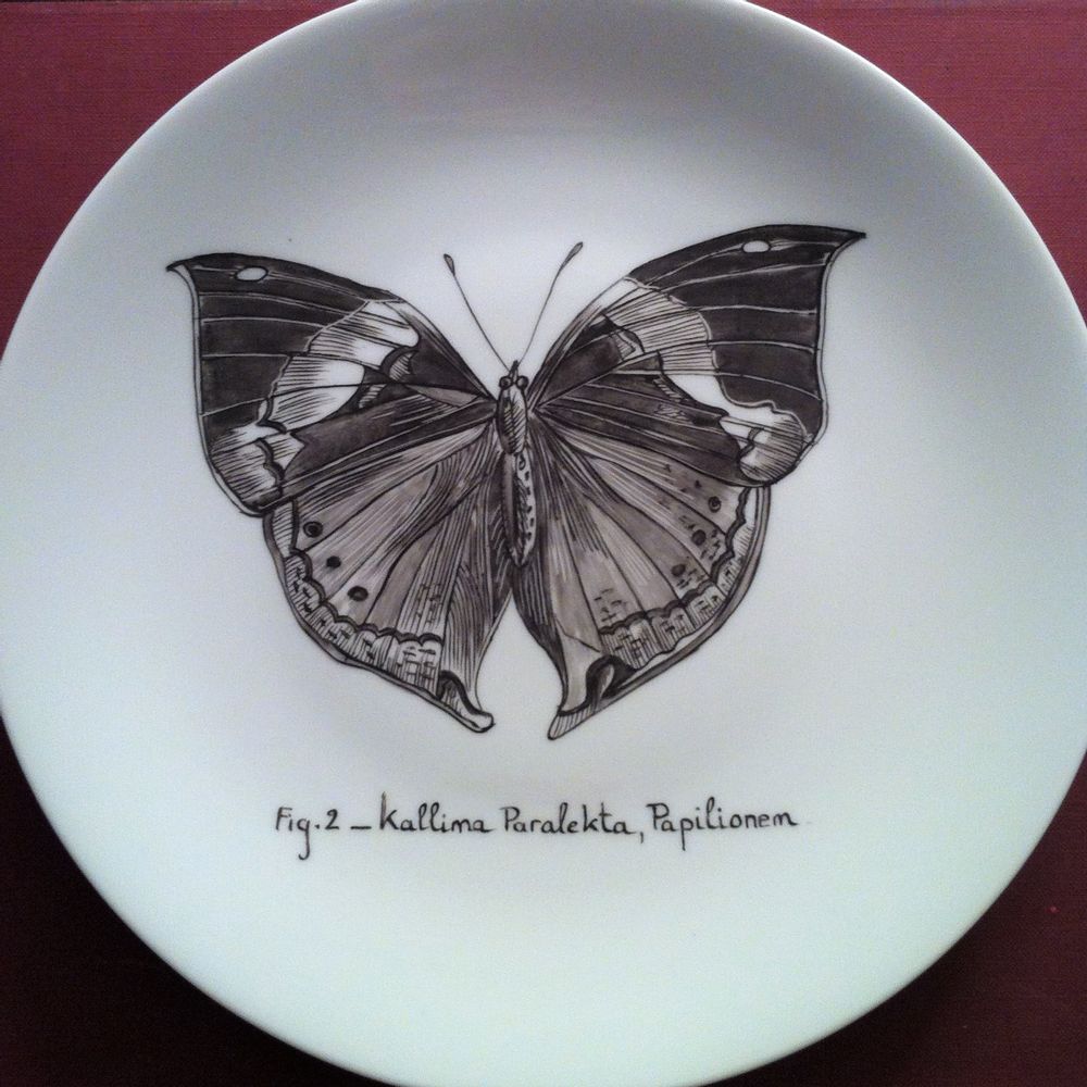 Objets de décoration - Assiettes illustrées Collection "INSECTE" - VERONIQUE JOLY-CORBIN