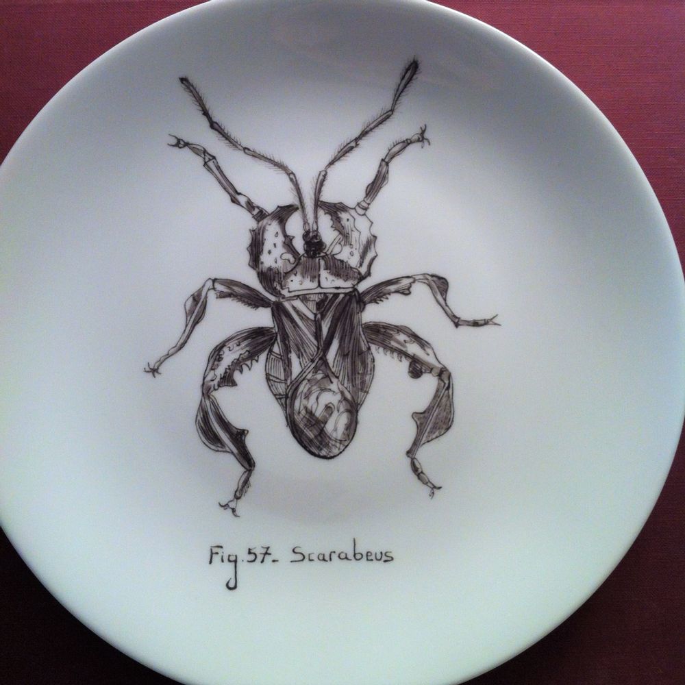 Objets de décoration - Assiettes illustrées Collection "INSECTE" - VERONIQUE JOLY-CORBIN