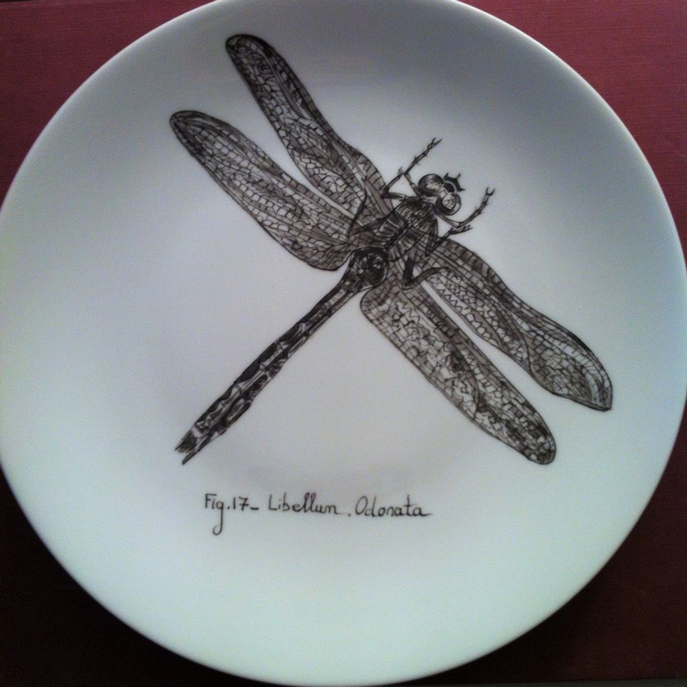 Objets de décoration - Assiettes illustrées Collection "INSECTE" - VERONIQUE JOLY-CORBIN