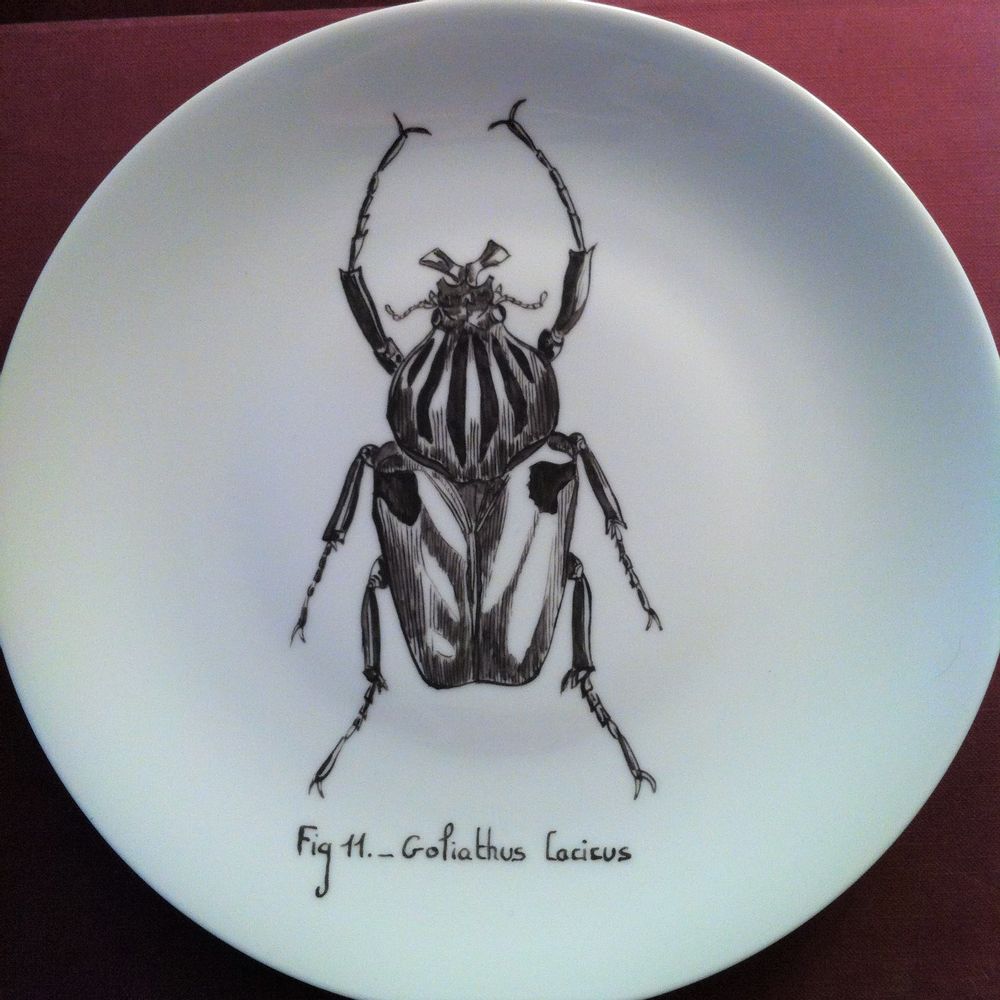 Objets de décoration - Assiettes illustrées Collection "INSECTE" - VERONIQUE JOLY-CORBIN