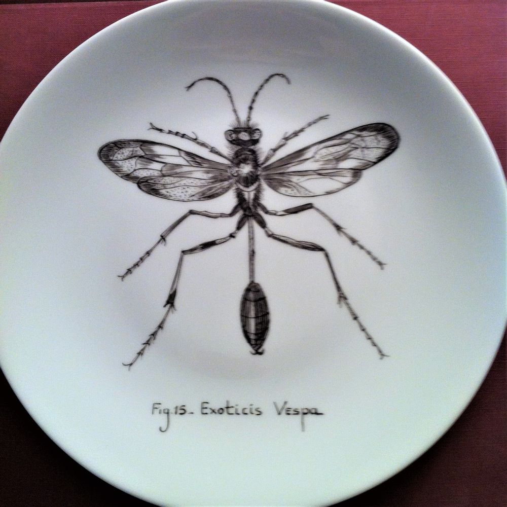 Objets de décoration - Assiettes illustrées Collection "INSECTE" - VERONIQUE JOLY-CORBIN