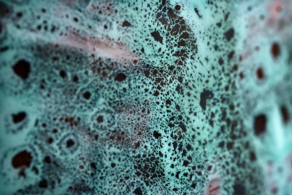 Ceramic - menthe - ALICE GAVALET