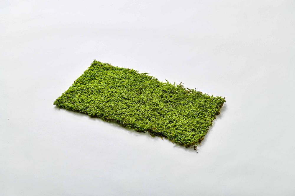 Objets de décoration - Feuille FUJIGOKE - grand - FUJIGOKE