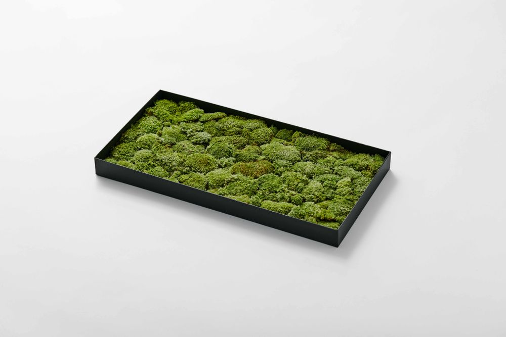 Objets de décoration - Feuille FUJIGOKE - grand - FUJIGOKE