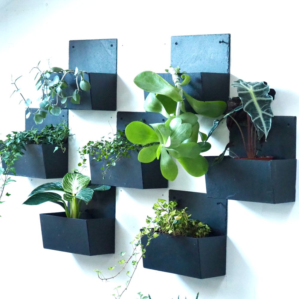 Spa - Wall slate planter PM - LE TRÈFLE BLEU