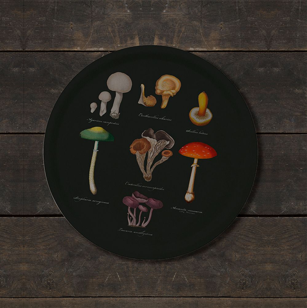 Papeterie - Les champignons et les conifères - invitent la nature à l'intérieur. - KOUSTRUP & CO