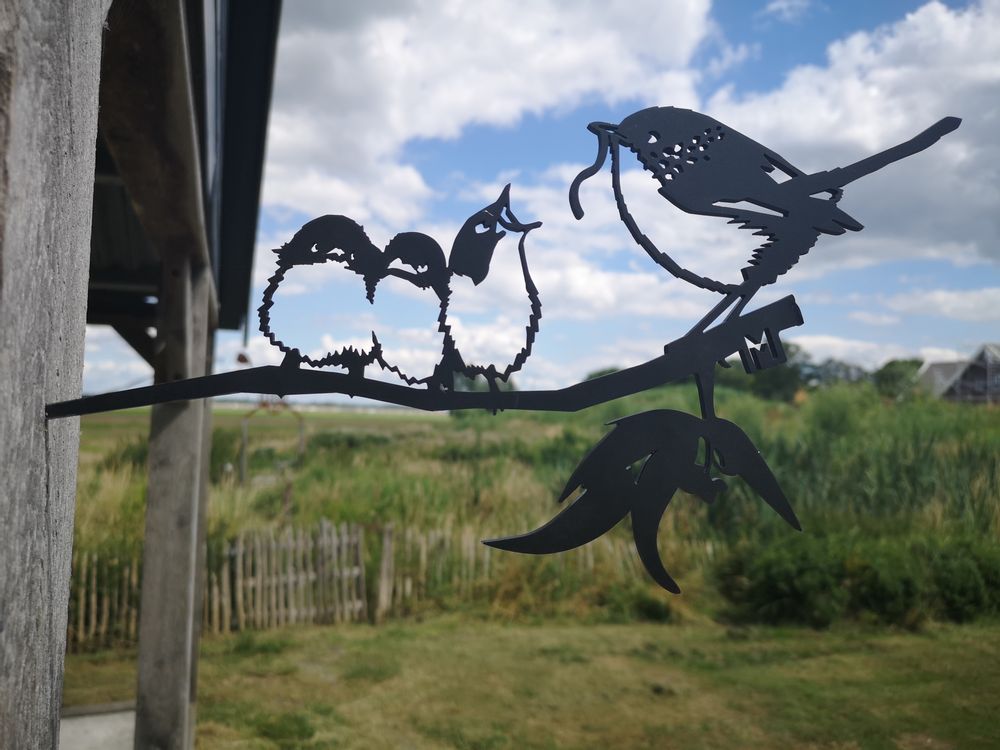 Objets de décoration - Décoration extérieur Metalbird Roitelet Et Bébés - METALBIRD