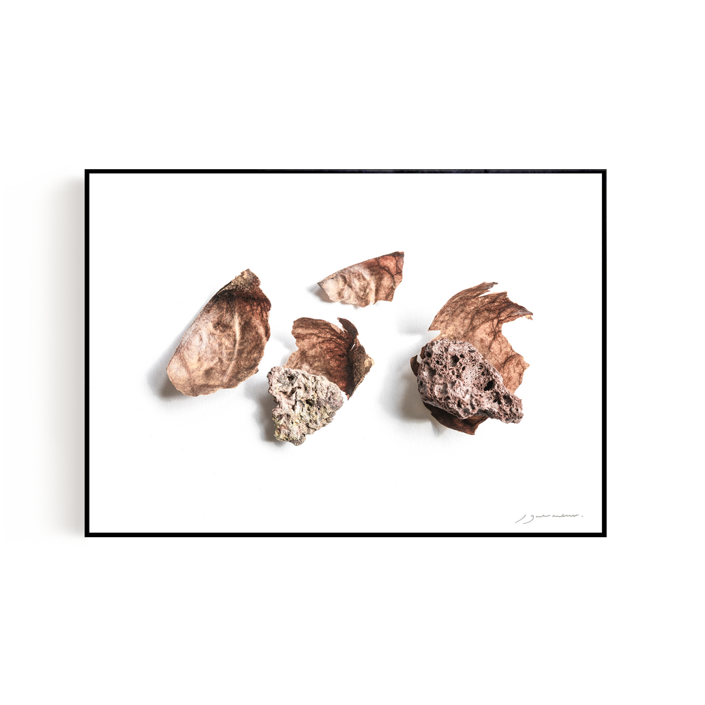 Art photos - “Avocado & the Lava” / Wall Decor / Giclée print - DOEN STUDIO