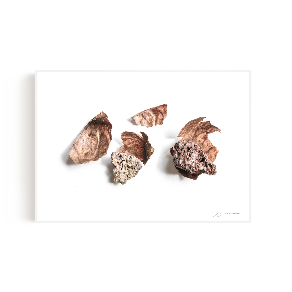 Art photos - “Avocado & the Lava” / Wall Decor / Giclée print - DOEN STUDIO