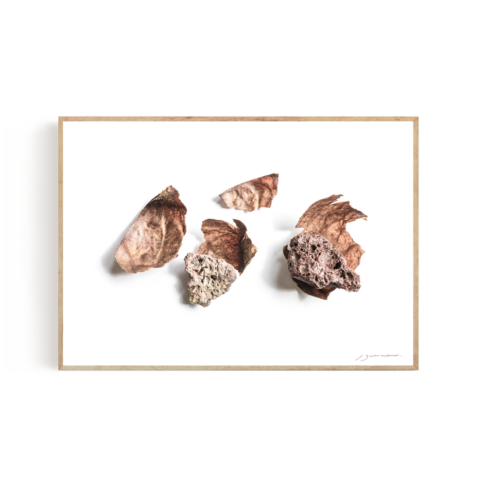 Art photos - “Avocado & the Lava” / Wall Decor / Giclée print - DOEN STUDIO