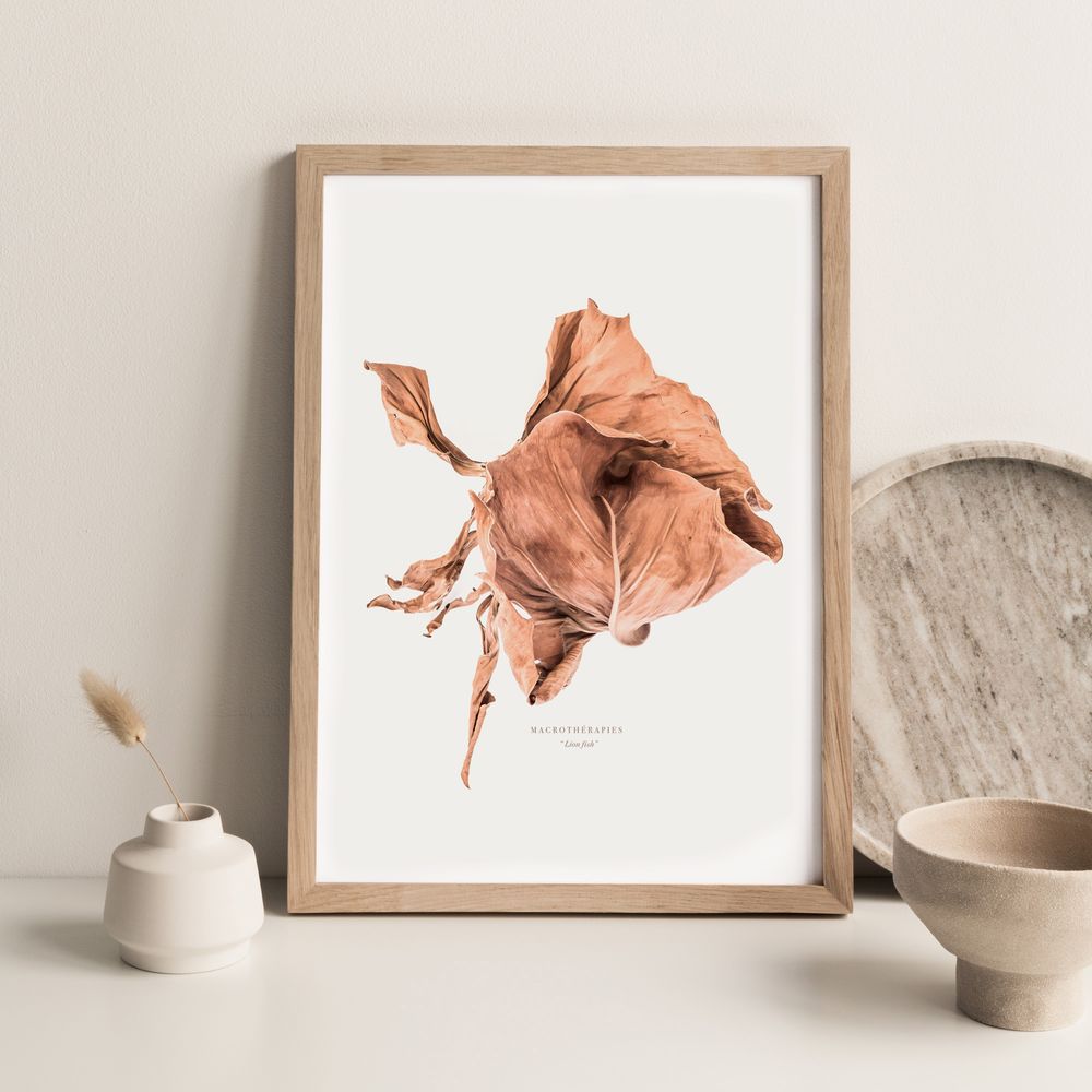 Art photos - “Lion Fish” / Wall Decor / Giclée Print - DOEN STUDIO