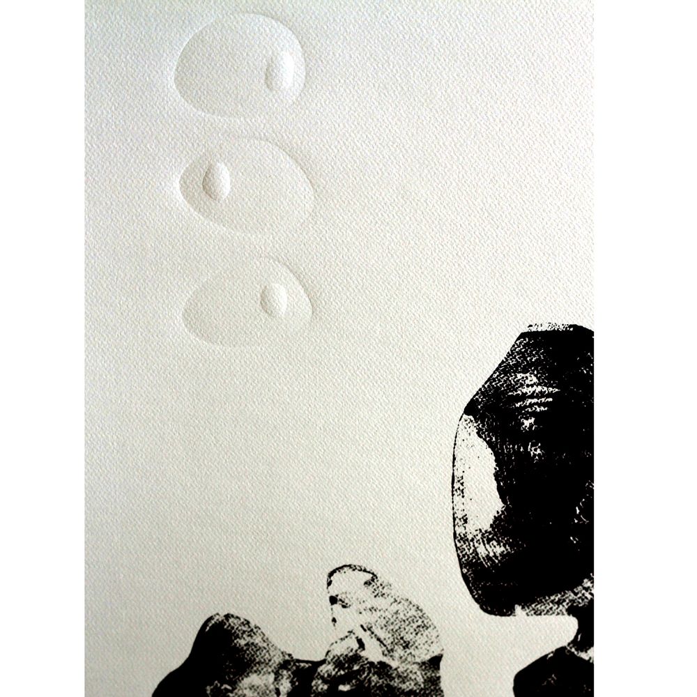 Tableaux - gravure monotype et gaufrage 80cm x 120 cm 4 coraux - FOUCHER-POIGNANT