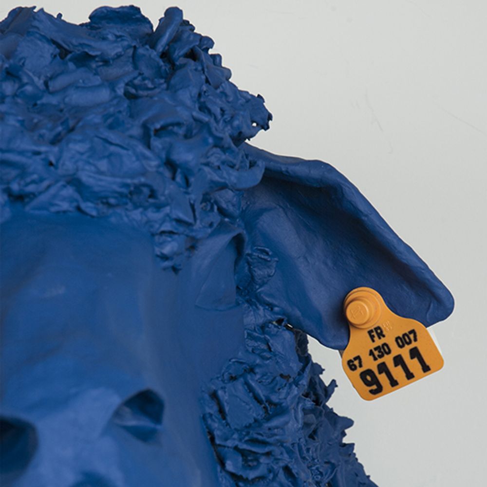 Aménagements pour bureau - Sculpture - Trophée de mouton blanc en papier mâché "LE TONDU" - MARIE TALALAEFF