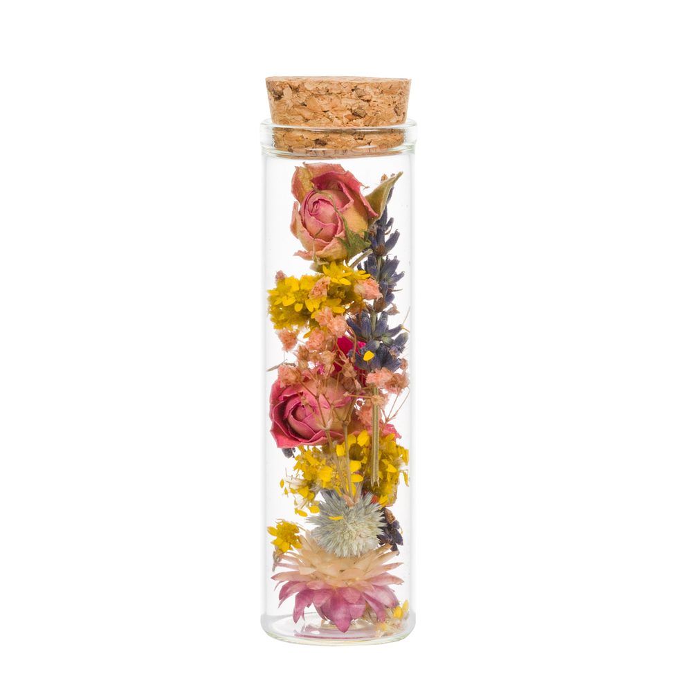 Cadeaux - WISH bouteille - Petit - PLANTOPHILE