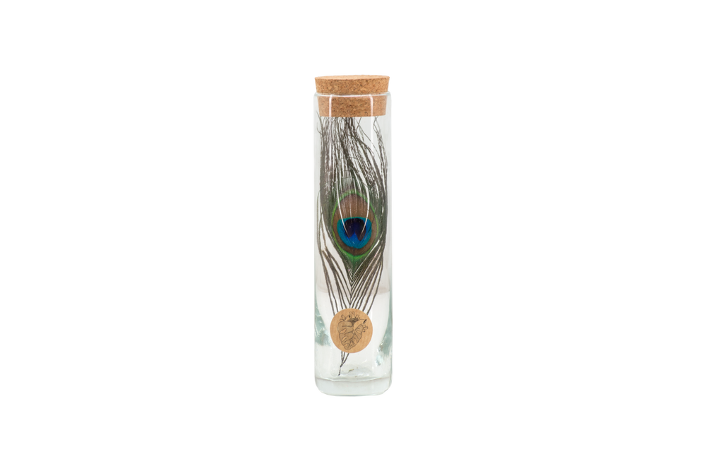 Cadeaux - Vase avec petit plume de Paon - petit - PLANTOPHILE