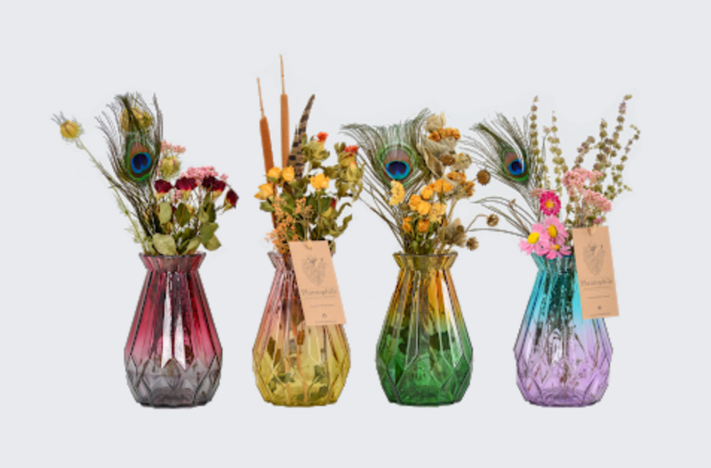 Gifts - Bi-colour colored vases, 4-color assortment with dried flowers - medium - PLANTOPHILE