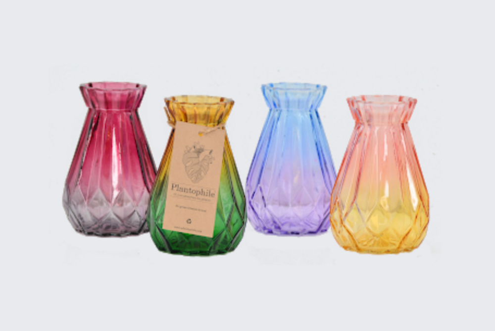 Gifts - Bi-colour colored vases, 4-color assortment with dried flowers - medium - PLANTOPHILE