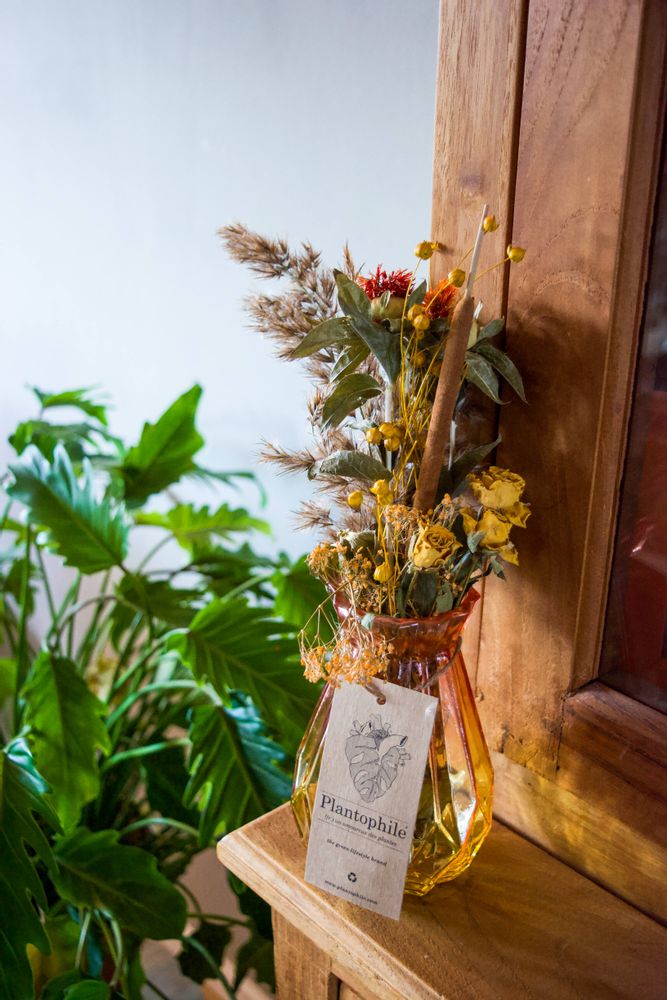 Gifts - Bi-colour colored vases, 4-color assortment with dried flowers - medium - PLANTOPHILE