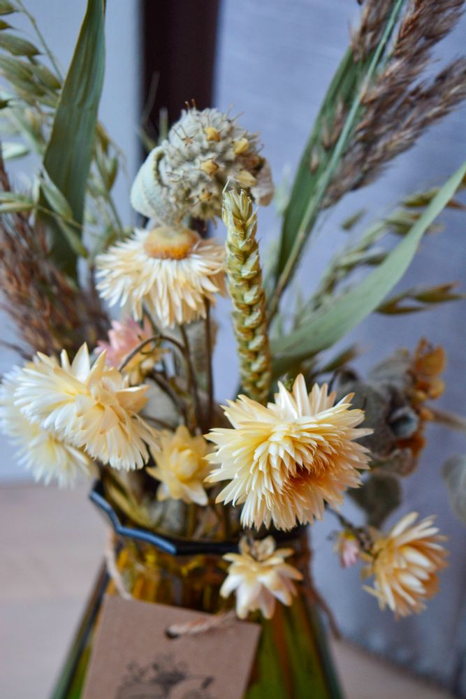 Gifts - Bi-colour colored vases, 4-color assortment with dried flowers - medium - PLANTOPHILE