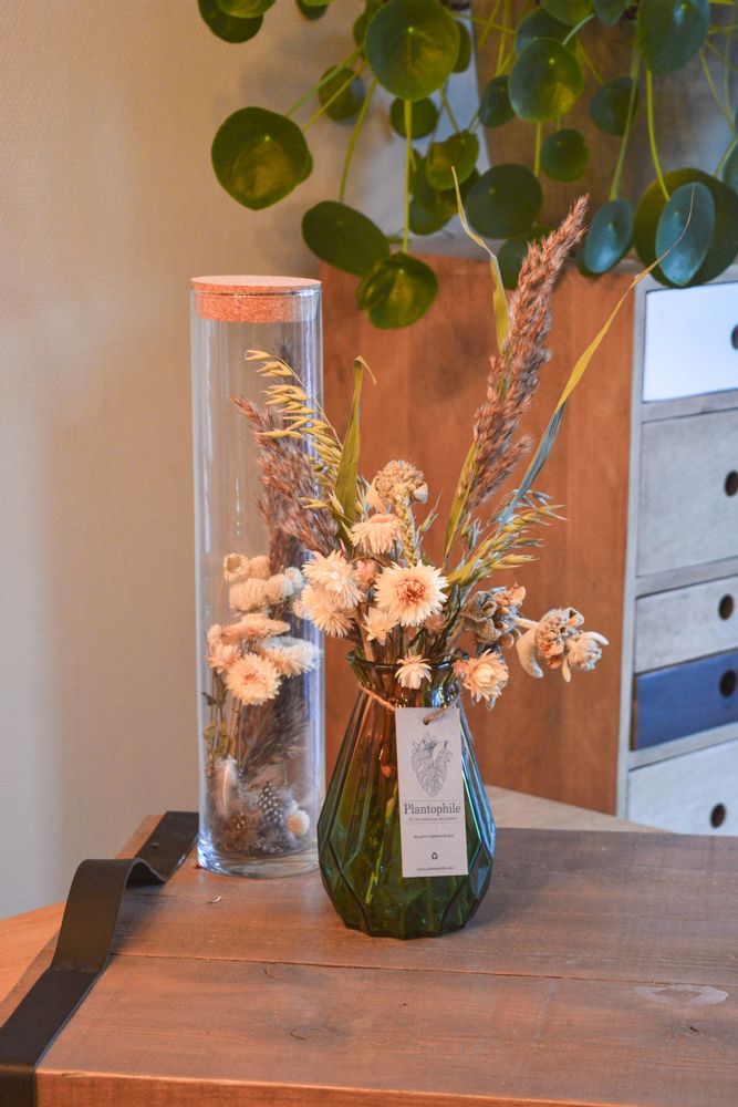 Gifts - Bi-colour colored vases, 4-color assortment with dried flowers - medium - PLANTOPHILE