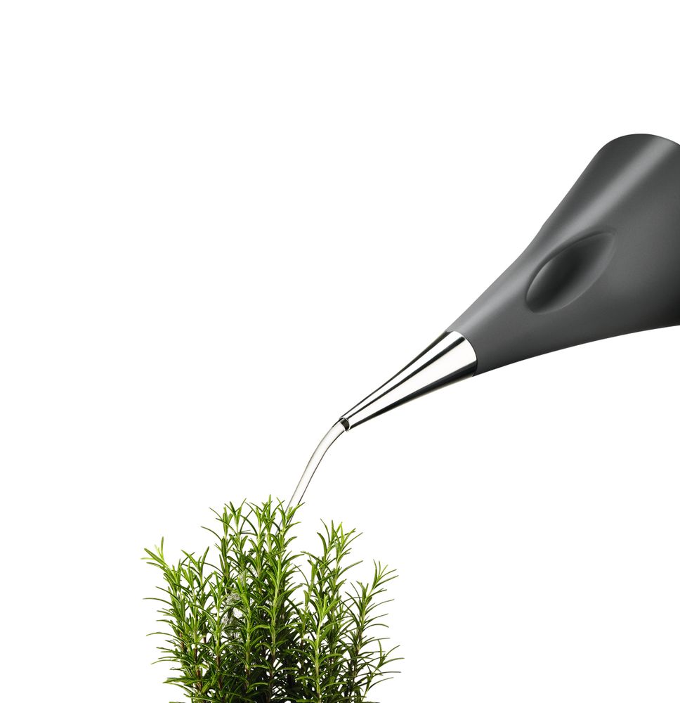 Accessoires de jardinage - Arrosoir AquaStar 2L - EVA SOLO
