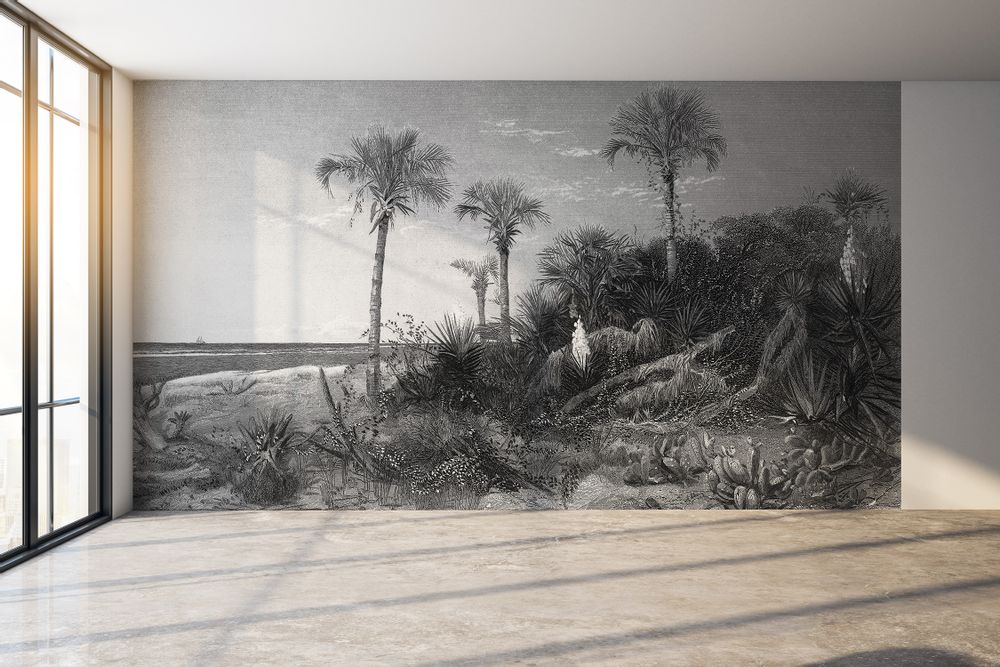 Other wall decoration - Caladesi Bay Black & White - LÉ PAPIERS DE NINON