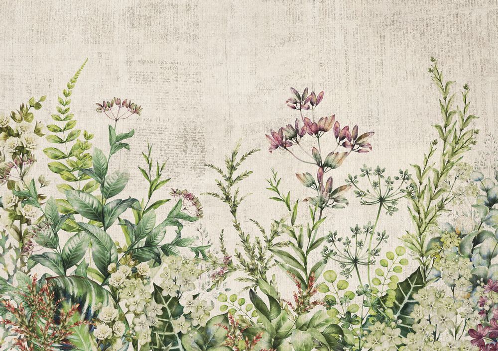 Autres décorations murales - Herbier Sauvage - LÉ PAPIERS DE NINON