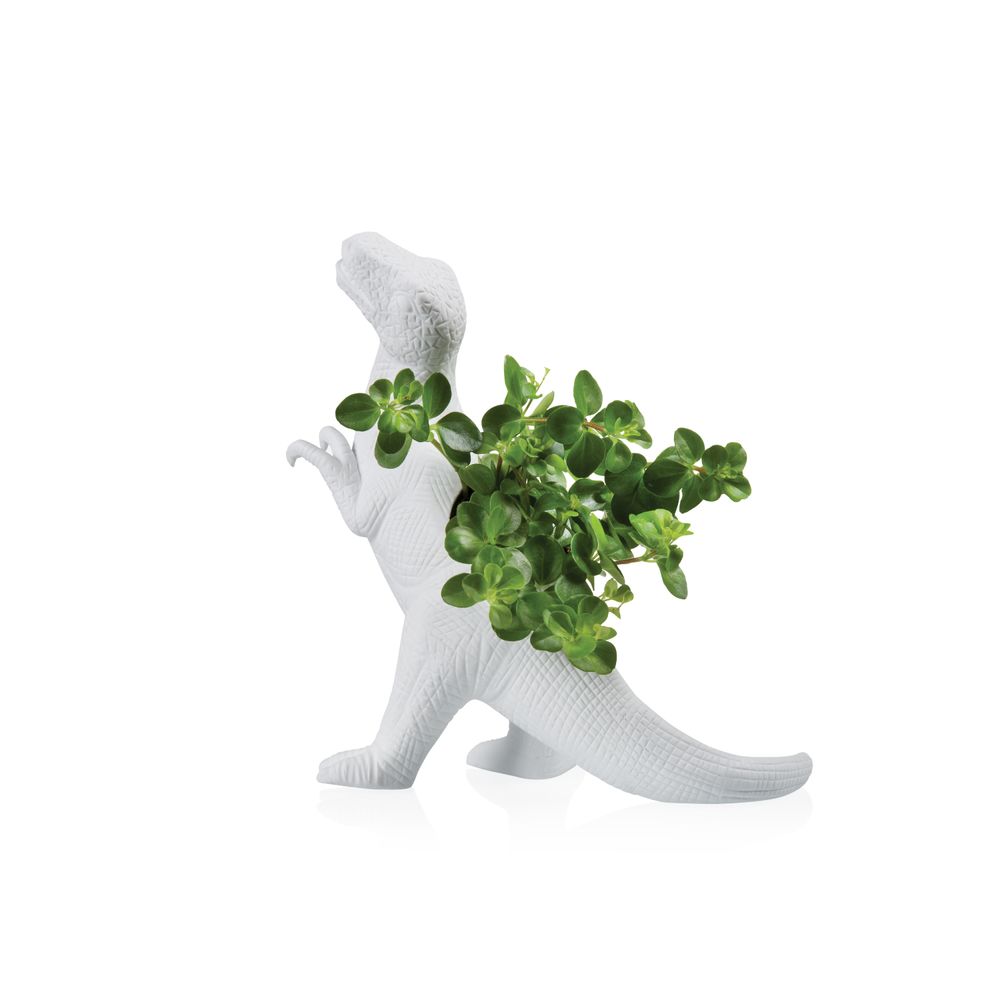 Gifts - Bitten Plantosaurus  Planter Collection - BITTEN