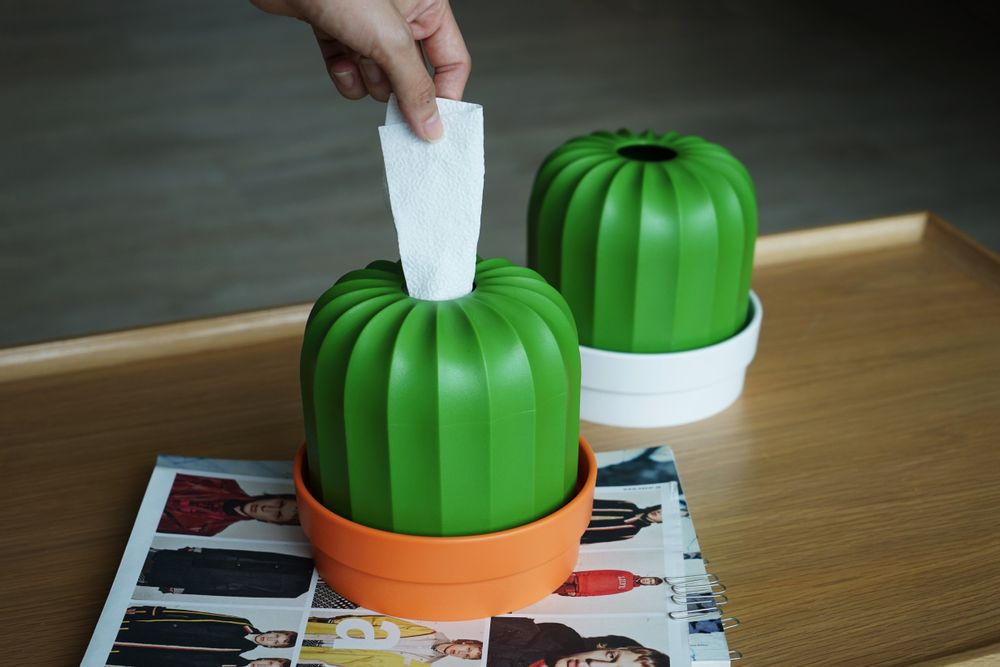 Bowls - Cactus Series : Stirrer : Snack bowl :Tissue Holder :  Kitchen Collection Organizer Decorate Home - QUALY DESIGN OFFICIAL