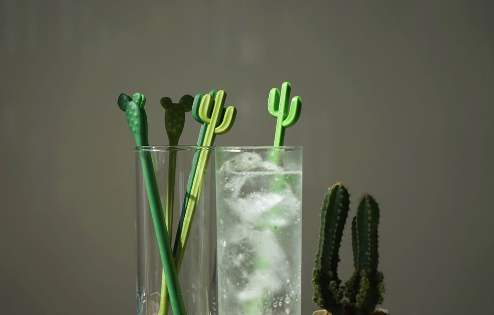 Bowls - Cactus Series : Stirrer : Snack bowl :Tissue Holder :  Kitchen Collection Organizer Decorate Home - QUALY DESIGN OFFICIAL