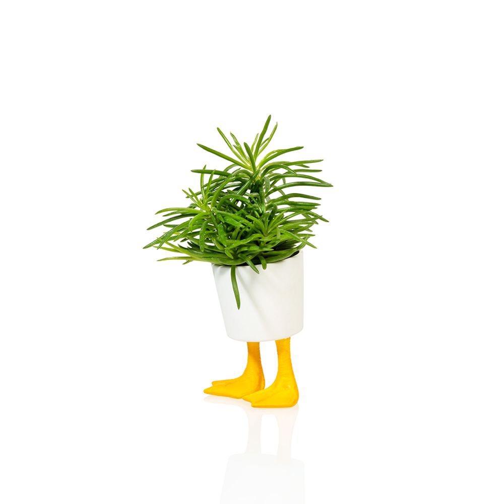 Cadeaux - Cache-Pot Pieds de Canard pm - BITTEN