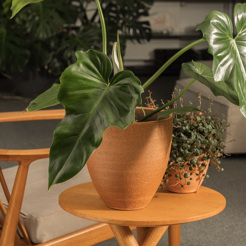Décorations florales - Mot en céramique d'intérieur - D&M DECO