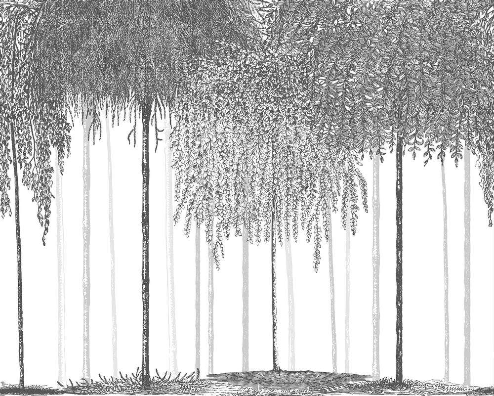 Other wall decoration - Wallpanel Woods Gris Quartz - PAPERMINT