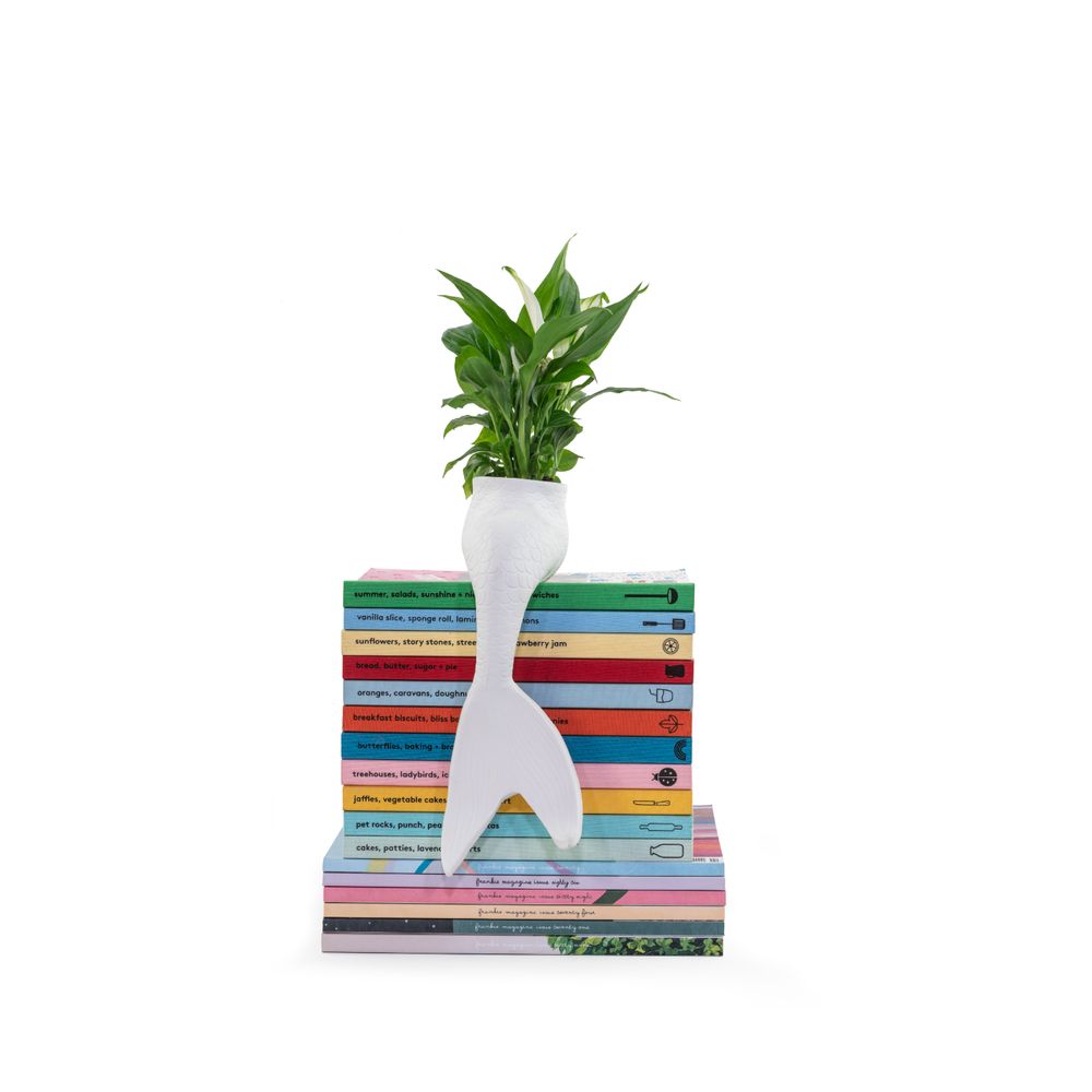 Gifts - Bitten, Mermaid Planter - BITTEN