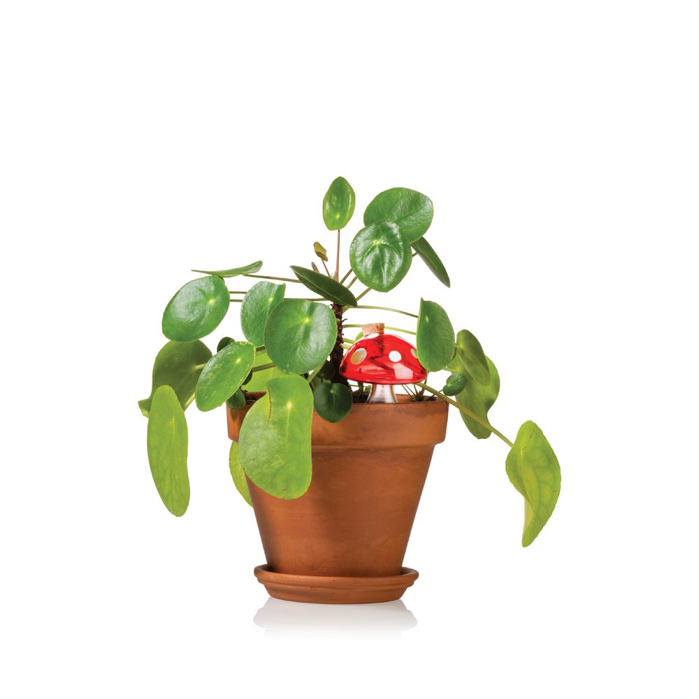 Gifts - Plant Watering Mushroom - BITTEN