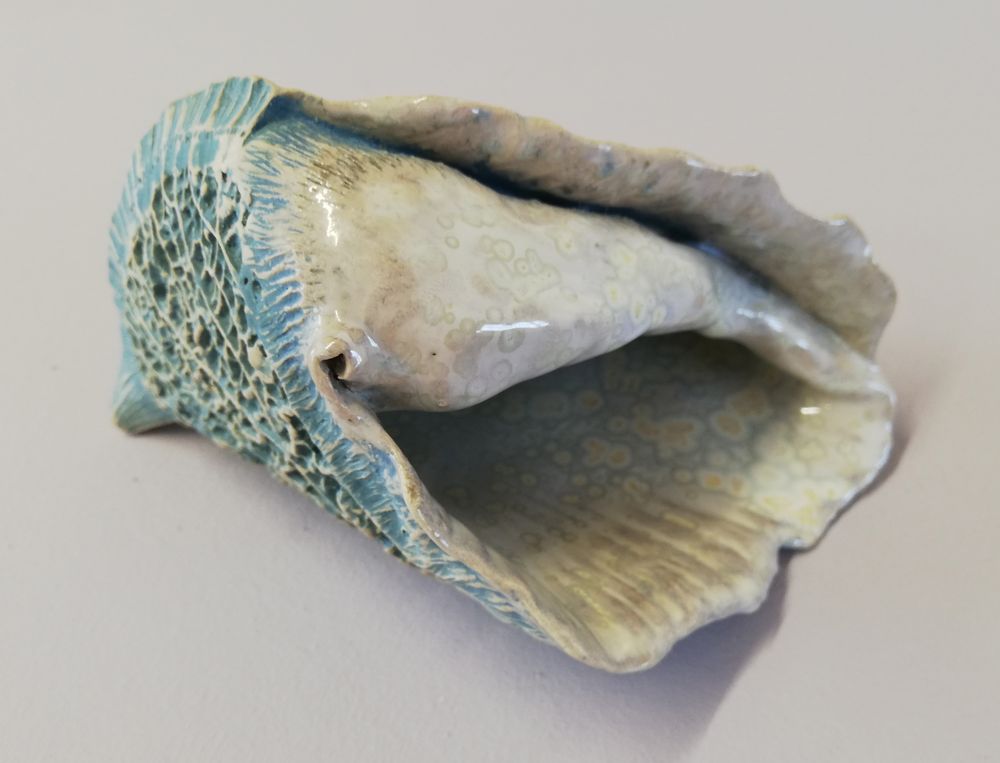 Céramique - COQUILLAGES - MALIFANCE