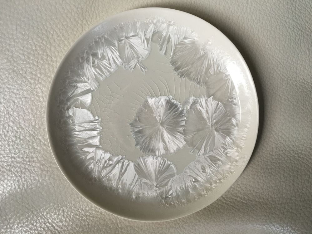 Assiettes de réception - Assiette bicolore porcelaine - MARTINE MIKAELOFF
