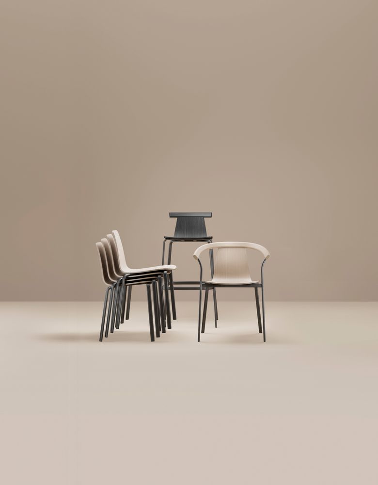 Chairs - Atal Chair - ALKI
