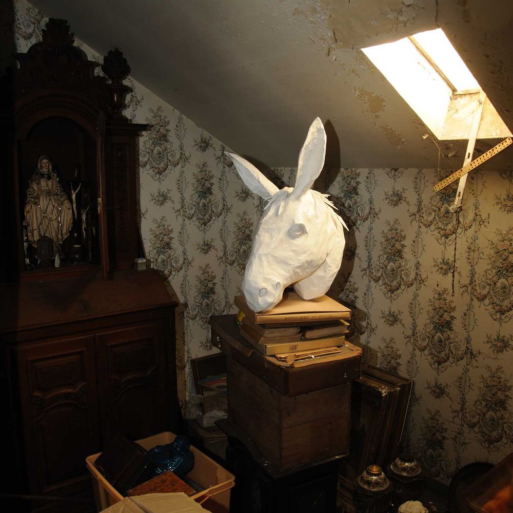 Sculptures, statuettes et miniatures - Trophée de mule blanche en papier mâché - Sculpture - "MARTIN" - MARIE TALALAEFF