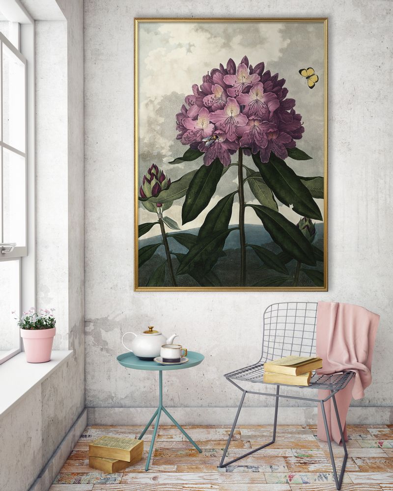 Affiches - Affiche Temple of Flora, Enchanted Rhodonia - THE DYBDAHL CO.