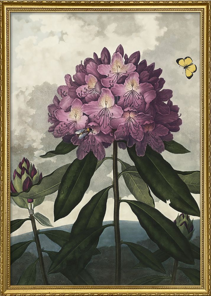 Affiches - Affiche Temple of Flora, Enchanted Rhodonia - THE DYBDAHL CO.