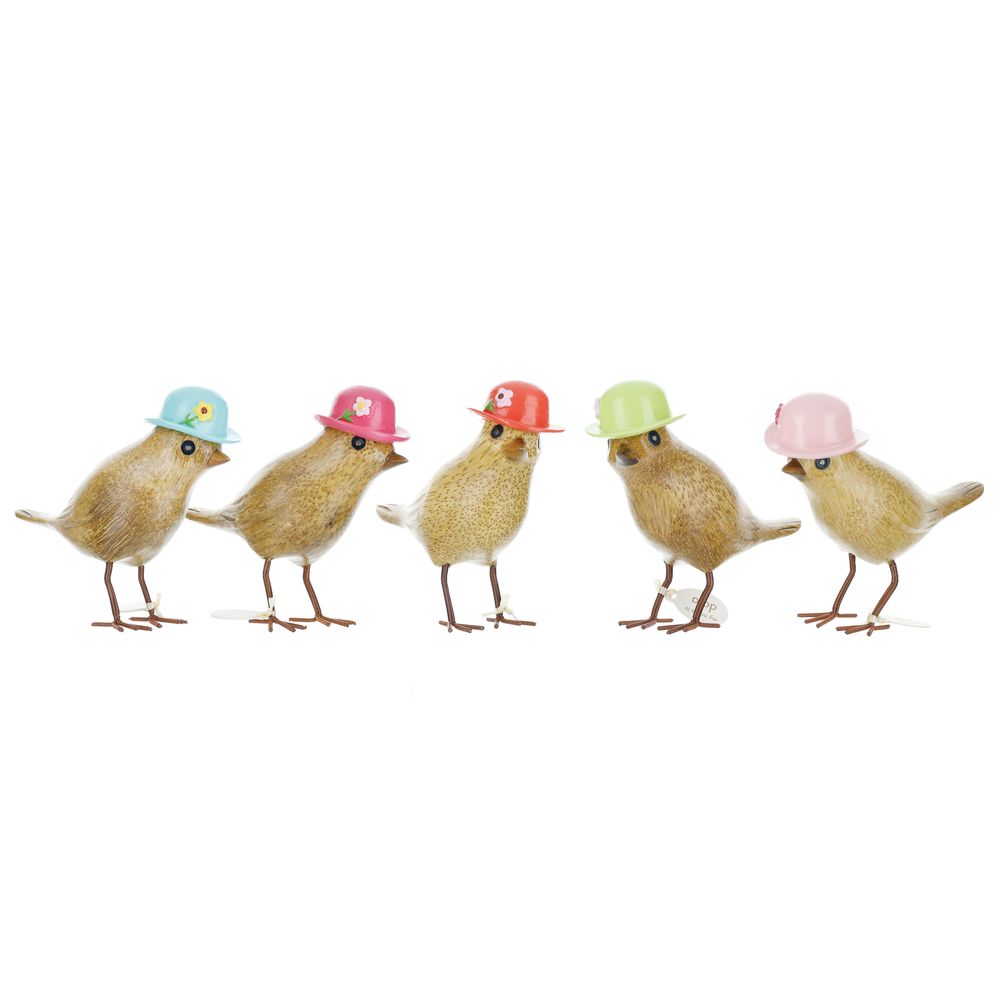 Gifts - Garden Birds - DCUK