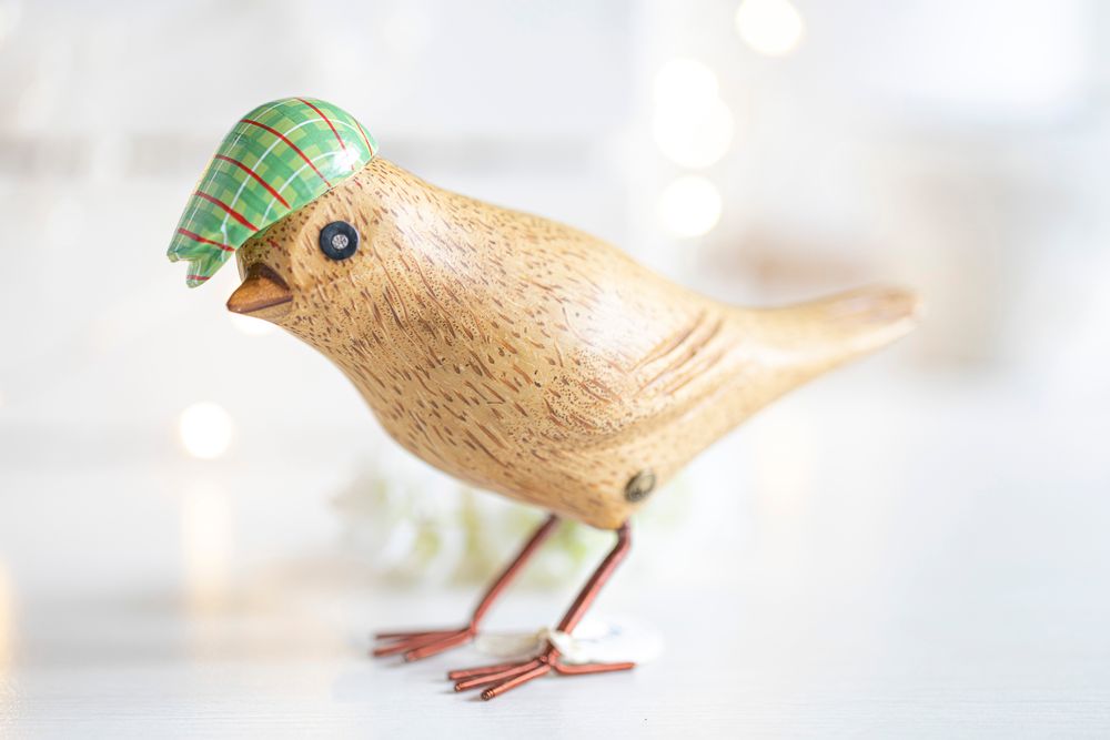 Gifts - Garden Birds - DCUK