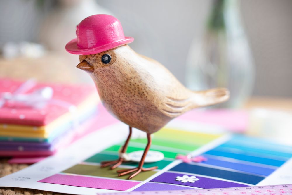 Gifts - Garden Birds - DCUK